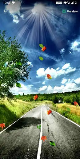 Play Road Live Wallpaper