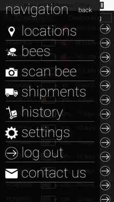 Play Roambee Hive Play Roambee Hive
