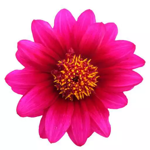 Free play online Rochak Katha APK