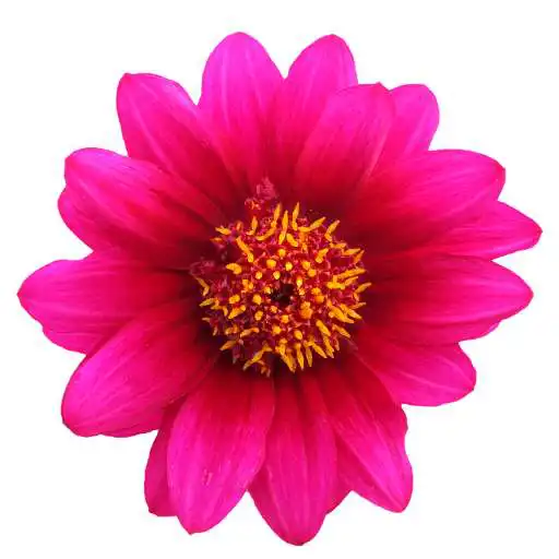 Play Rochak Katha APK Play Rochak Katha APK