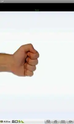 Play Rock Paper Scissors (CRT)