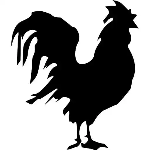 Play Rocky Rooster Cafe APK Play Rocky Rooster Cafe APK