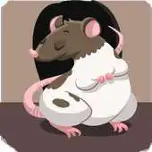 Free play online Rodent Trivia APK