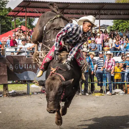 Play Rodeo Wallpapers 2023 HD 4K APK Play Rodeo Wallpapers 2023 HD 4K APK