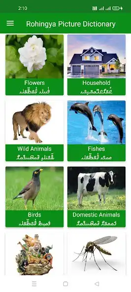 Play Rohingya Picture Dictionary as an online game Rohingya Picture Dictionary with UptoPlay
