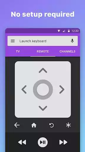 Play Roku Remote Control: RoByte