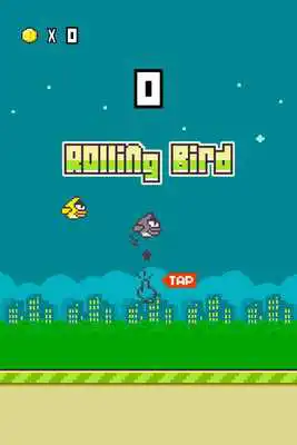 Play Rolling Bird