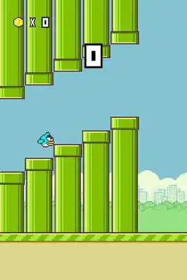 Play Rolling Bird