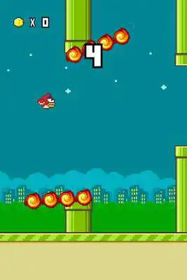 Play Rolling Bird