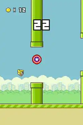 Play Rolling Bird