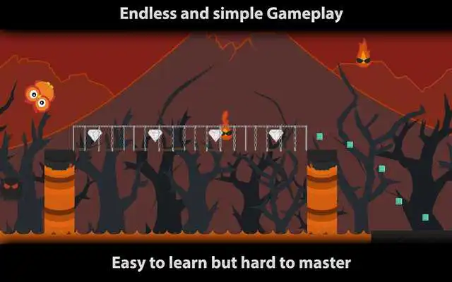 Play Roll Owl Play Roll Owl
