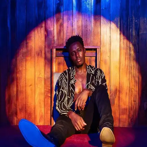 Play romain virgo  all songs APK