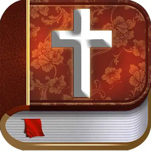 Play Romanian Bible offline audio APK