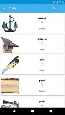 Play Romanian Vocabulary