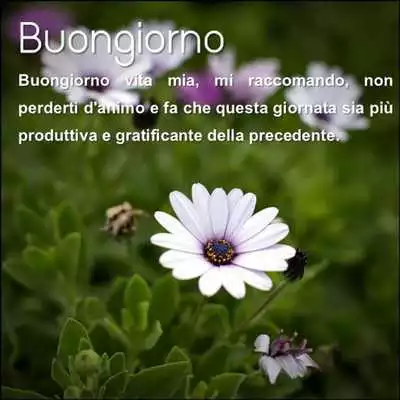 Play Romantic Good morning Love Messages, and Wishes