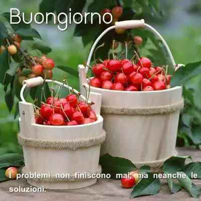Play Romantic Good morning Love Messages, and Wishes