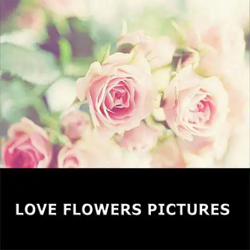 Play Romantic Love flowers APK