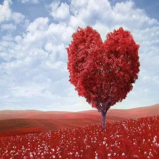 Play Romantic Love Song APK