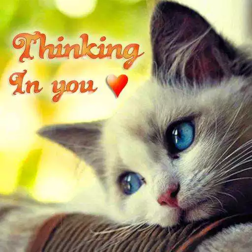Free play online Romantic Pictures for Whatsapp APK