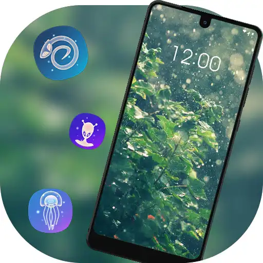 Play Romantic plant under the rain theme APK