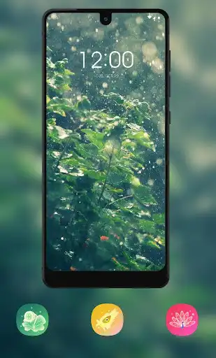 Play Romantic plant under the rain theme as an online game online Romantic plant under the rain theme with UptoPlay theme.sea.beach.romantic.plant.under.the.rain.wallpaper Play Romantic plant under the rain theme as an online game Romantic plant under the rain theme with UptoPlay