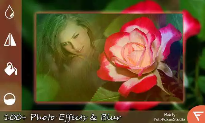 Play Romantic Rose Photo Frame