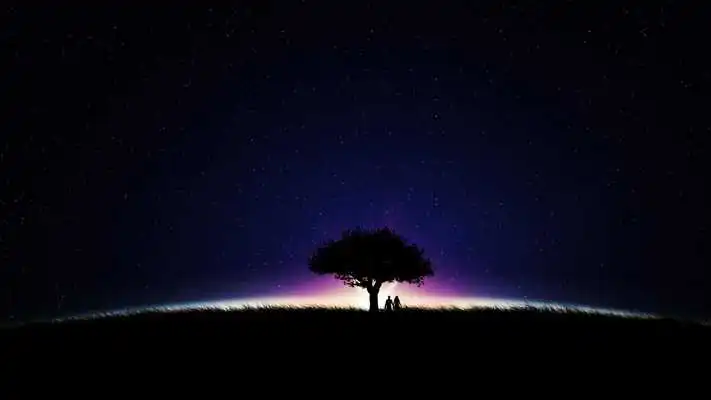 Play Romantic silhouette. Wallpaper