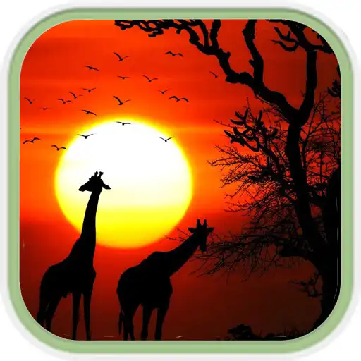 Play Romantic Sunset Wallpaper APK Play Romantic Sunset Wallpaper APK