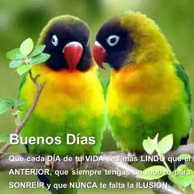 Play Romantic  Sweet Good Morning Quotes