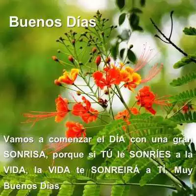 Play Romantic  Sweet Good Morning Quotes