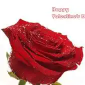 Free play online Romantic Valentine Wallpaper APK Free play online Romantic Valentine Wallpaper APK