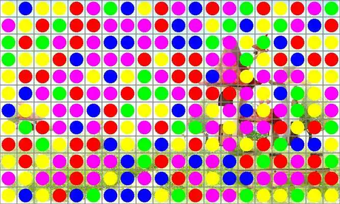 Play Rompebolas