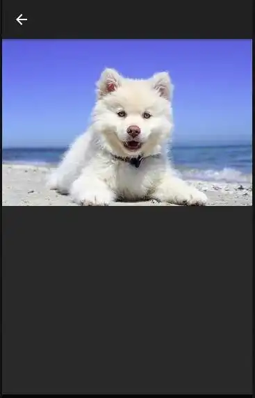 Play rompecabezas de perros as an online game online rompecabezas de perros with UptoPlay Play rompecabezas de perros as an online game rompecabezas de perros with UptoPlay