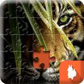 Free play online Rompecabezas de tigres APK Free play online Rompecabezas de tigres APK