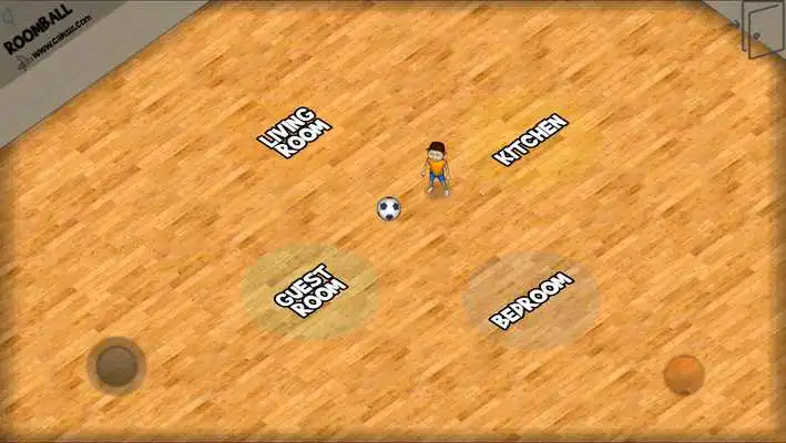Play Roomball
