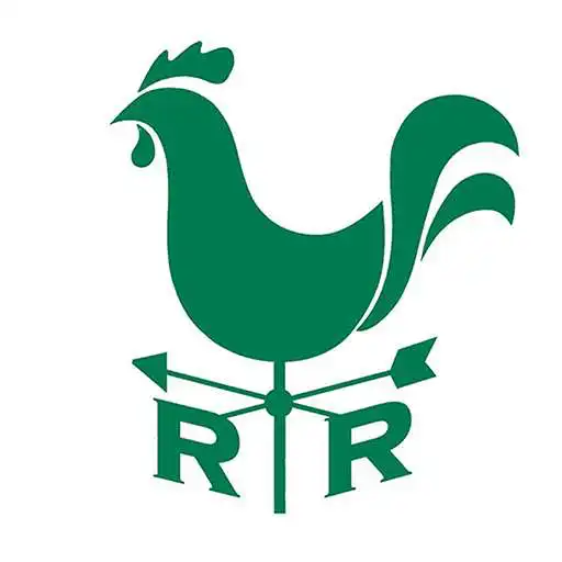 Play Rooster Run Golf Club APK