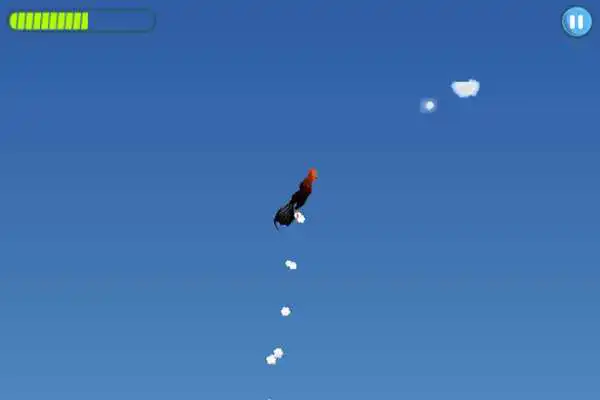 Play Rooster Run