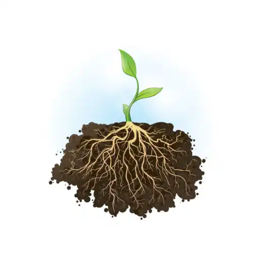 Play Root detection collector APK