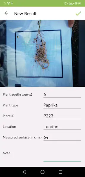 Play Root detection collector as an online game Root detection collector with UptoPlay