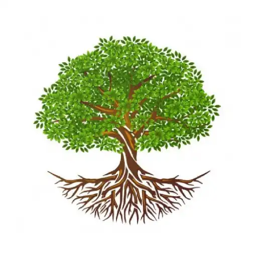 Play RootsCommerce APK