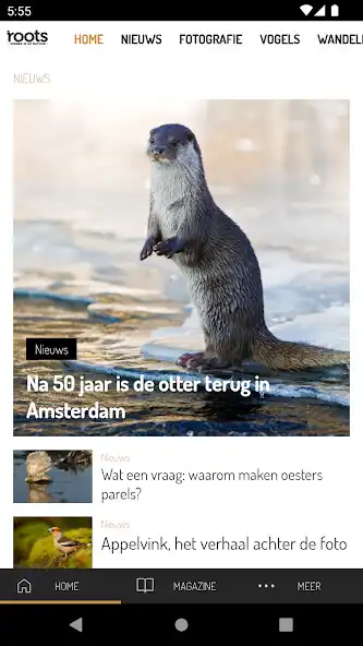 Play Roots Magazine and enjoy Roots Magazine with UptoPlay Play Roots Magazine and enjoy Roots Magazine with UptoPlay
