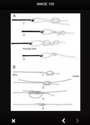 Play Ropes Fishing Tutorial