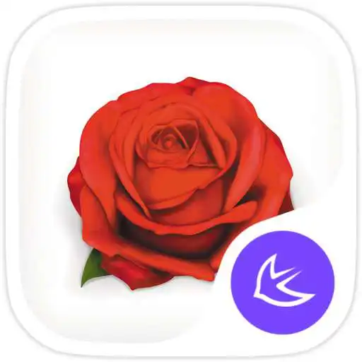 Run free android online Rosa-APUS Launcher theme APK Run free android online Rosa-APUS Launcher theme APK