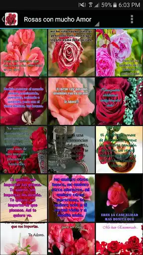 Play Rosas con Amor  and enjoy Rosas con Amor with UptoPlay