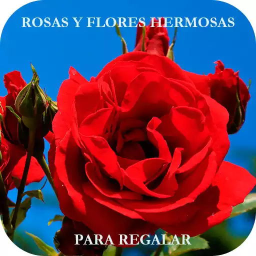 Play Rosas con Frases Bonitas APK