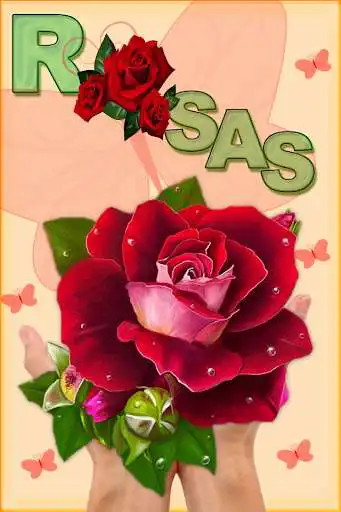 Play Rosas Con Frases Para Dedicar  and enjoy Rosas Con Frases Para Dedicar with UptoPlay