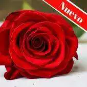 Free play online Rosas Gratis APK