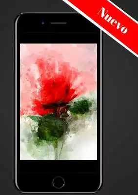 Play Rosas Gratis Play Rosas Gratis