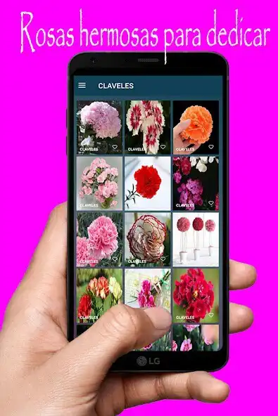 Play Rosas hermosas  and enjoy Rosas hermosas with UptoPlay