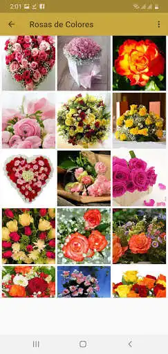 Play Rosas Rojas y Flores Hermosas as an online game Rosas Rojas y Flores Hermosas with UptoPlay